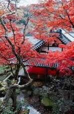 篮球足球现场比分-实时追踪，篮球足球现场比分背后的激情与科技交响
